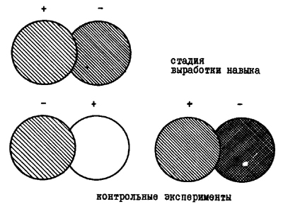 Рис. 6. Схема опытов В. Кёлера